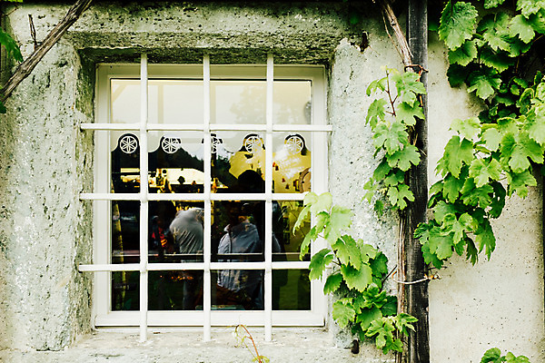 포토 JPG 주간 해외풍경 유럽 백그라운드 창문 나뭇잎 풍경 사람없음 야외 동유럽 슬로베니아 블레드 국내포토 자연요소 해외 나라 잎 파일형식