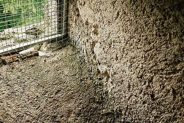 포토 JPG 주간 해외풍경 유럽 풍경 사람없음 야외 철망 동유럽 슬로베니아 블레드 승천성당 국내포토 자연요소 해외 나라 성당 파일형식