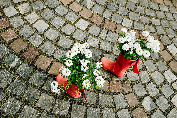 포토 JPG 주간 해외풍경 꽃 유럽 화분 바닥 장화 풍경 사람없음 야외 도시풍경 동유럽 류블랴나 국내포토 자연요소 식물 해외 나라 신발 도시 슬로베니아 파일형식