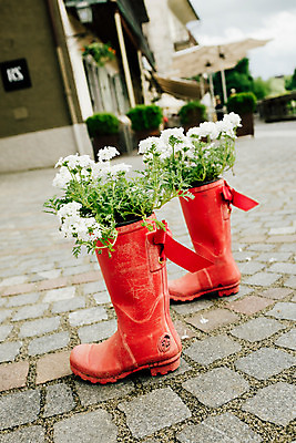 포토 JPG 주간 해외풍경 꽃 유럽 화분 바닥 장화 풍경 사람없음 야외 도시풍경 동유럽 류블랴나 국내포토 자연요소 식물 해외 나라 신발 도시 슬로베니아 파일형식