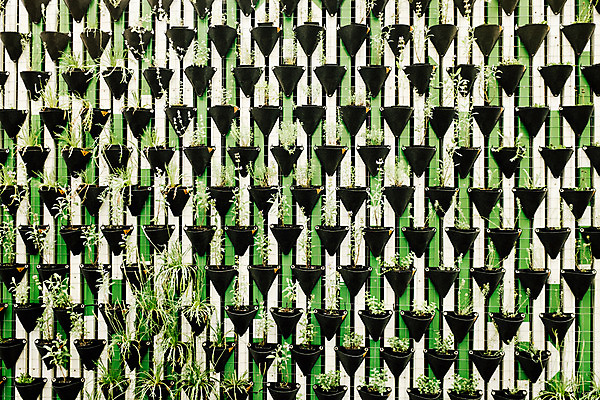 포토 JPG 주간 해외풍경 유럽 화분 벽 백그라운드 풍경 사람없음 야외 도시풍경 동유럽 류블랴나 국내포토 자연요소 해외 나라 도시 슬로베니아 파일형식