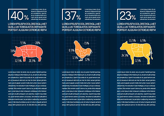 템플릿 표지디자인 북디자인 출판디자인 내지 리플렛 북커버 3단접지 팜플렛 사람없음 가축 닭 돼지 퍼센트 소 이미지템플릿 AI파일 동물 포유류 조류 특수기호 파일형식 벡터
