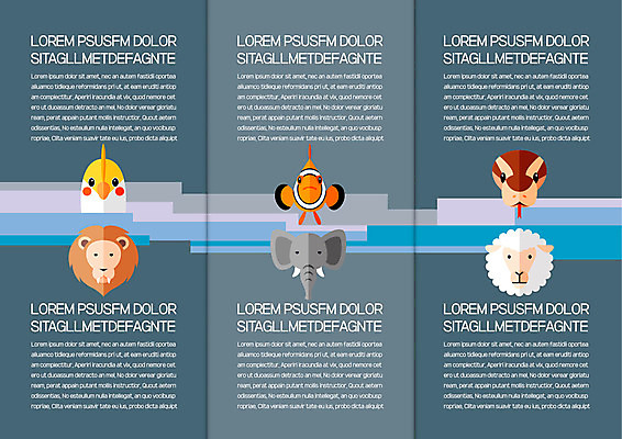 템플릿 캐릭터 표지디자인 북디자인 출판디자인 내지 리플렛 북커버 3단접지 코끼리 어류 팜플렛 사람없음 닭 양 뱀 사자 이미지템플릿 AI파일 포유류 파충류 조류 수중동물 파일형식 벡터