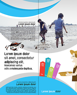 PSD 템플릿 표지디자인 북디자인 출판디자인 남자 내지 어린이 리플렛 여행 2단접지 북커버 팜플렛 여러명 뒷모습 바구니 꽃게 갯벌 이미지템플릿 뷰포인트 다수 사람 게 파일형식