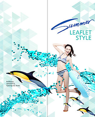 전신 PSD 서양인 템플릿 표지디자인 북디자인 출판디자인 여자 표지 리플렛 여행 포즈 2단접지 북커버 한명 서기 웃음 팜플렛 20대 성인 여름 여름휴가 바캉스 비키니 돌고래 튜브 이미지템플릿 외국인 1 계절 수영복 포유류 모션 휴가 표정 사람 청년 수중동물 파일형식 여름_계절