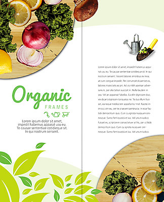 PSD 템플릿 표지디자인 북디자인 출판디자인 내지 리플렛 2단접지 북커버 양파 나뭇잎 파슬리 팜플렛 사람없음 농작물 버섯 흙 물뿌리개 모종삽 레몬 유기농 이미지템플릿 웰빙 잎 농업 채소 과일 삽 파일형식