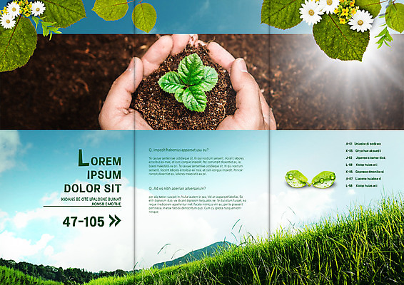 PSD 템플릿 표지디자인 북디자인 손 출판디자인 꽃 내지 리플렛 북커버 3단접지 나뭇잎 팜플렛 초원 신체부위 햇빛 자연보호 환경 그린캠페인 흙 양손 이미지템플릿 식물 캠페인 잎 자연 사람 태양 보호 파일형식