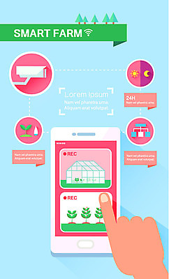 나무 손 밭 농업 일러스트 그래프 신체부위 스마트폰 새싹 농사 인포그래픽 스마트 귀농 감시카메라 온실 스마트팜 국내일러스트 AI파일 식물 산업 컨셉 사람 핸드폰 스마트기기 농장 카메라 파일형식 벡터