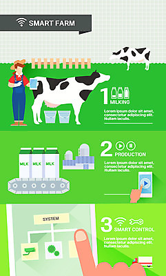 여자 일러스트 그래프 한명 성인 스마트폰 인포그래픽 우유 농부 스마트 젖소 귀농 목업 얼굴없음 스마트팜 국내일러스트 우유갑 AI파일 직업 1 컨셉 농업 유제품 사람 핸드폰 스마트기기 농장 소 파일형식 벡터