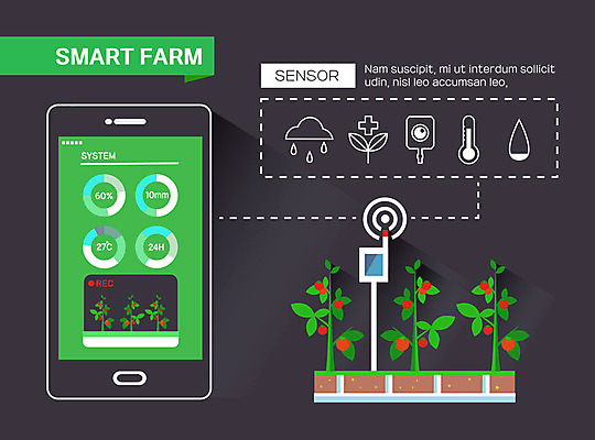 구름 밭 농업 일러스트 방울토마토 그래프 사람없음 새싹 농사 인포그래픽 온도계 체온계 빗방울 스마트 귀농 스마트팜 국내일러스트 AI파일 자연요소 식물 산업 컨셉 토마토 농장 비_날씨 파일형식 벡터