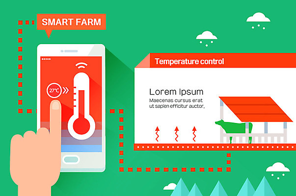 구름 손 일러스트 그래프 신체부위 스마트폰 목장 인포그래픽 소 온도계 체온계 스마트 귀농 목업 스마트팜 국내일러스트 AI파일 자연요소 컨셉 농업 포유류 사람 핸드폰 스마트기기 농장 파일형식 벡터