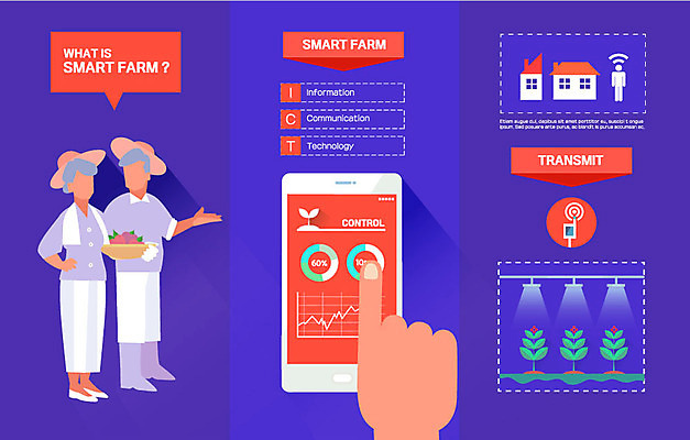 여자 노년 남자 밭 농업 일러스트 그래프 두명 스마트폰 바구니 농사 인포그래픽 사과 농부 스마트 귀농 얼굴없음 스마트팜 국내일러스트 AI파일 직업 산업 컨셉 과일 사람 성인 핸드폰 스마트기기 농장 파일형식 벡터