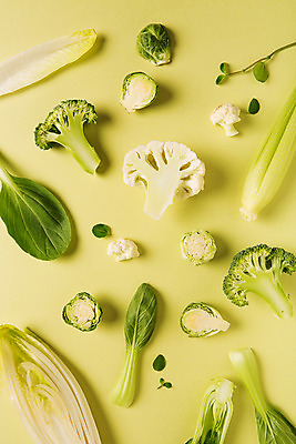 포토 JPG 스튜디오촬영 백그라운드 채소 단면 실내 사람없음 연두색 브로콜리 청경채 샐러리 방울양배추 국내포토 내부 초록색 양배추 파일형식
