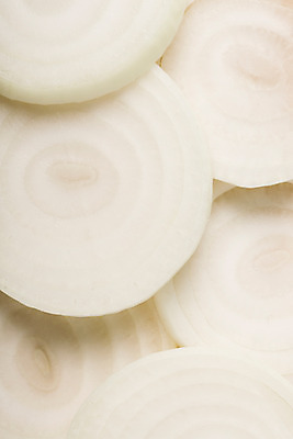 포토 JPG 스튜디오촬영 백그라운드 채소 양파 단면 실내 근접촬영 사람없음 국내포토 뷰포인트 내부 파일형식