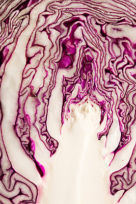 포토 JPG 스튜디오촬영 백그라운드 채소 단면 실내 근접촬영 사람없음 적색채 적양배추 국내포토 뷰포인트 내부 양배추 파일형식