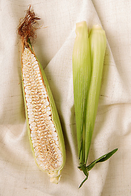 포토 JPG 스튜디오촬영 음식 백그라운드 단면 실내 옥수수 사람없음 천 국내포토 곡류 내부 직물 파일형식