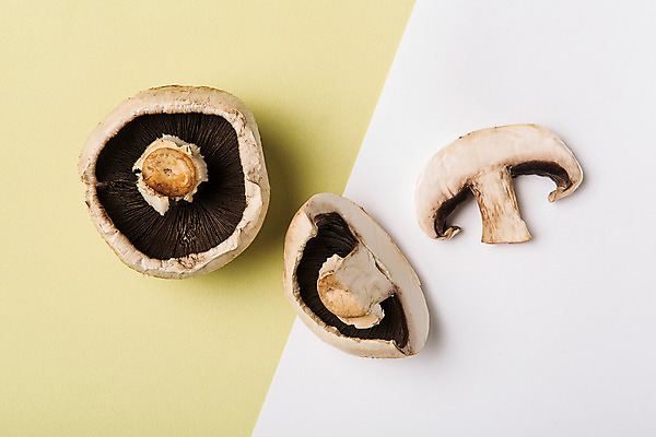 포토 JPG 스튜디오촬영 음식 백그라운드 단면 실내 사람없음 버섯 양송이 국내포토 내부 파일형식