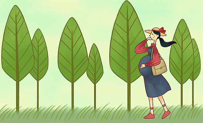 PSD 나무 모자 여자 가방 일러스트 엄마 한명 초원 성인 산책 임산부 임신 국내일러스트 식물 1 잡화 가족 휴식 사람 파일형식