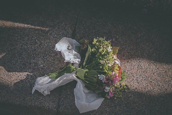 포토 JPG 주간 꽃다발 백그라운드 바닥 사람없음 야외 크로아티아 국내포토 자연요소 꽃 유럽 파일형식