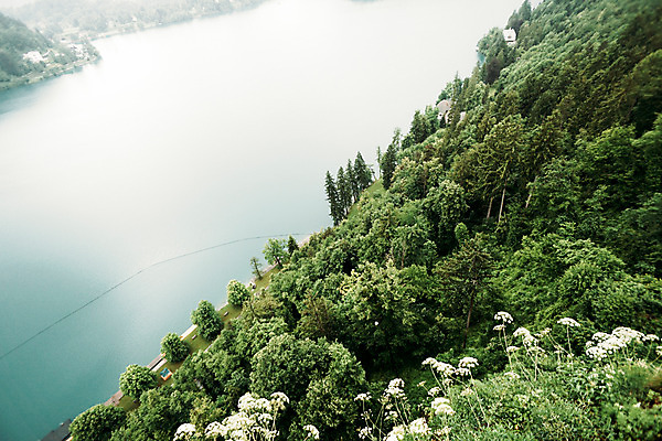포토 JPG 주간 나무 해외풍경 꽃 자연 풍경 사람없음 야외 슬로베니아 블레드호수 국내포토 자연요소 식물 해외 유럽 호수 생태계 파일형식
