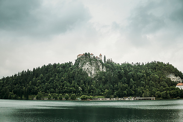 포토 JPG 주간 나무 해외풍경 자연 풍경 사람없음 야외 흐림 슬로베니아 블레드호수 국내포토 자연요소 식물 해외 유럽 호수 날씨 생태계 파일형식