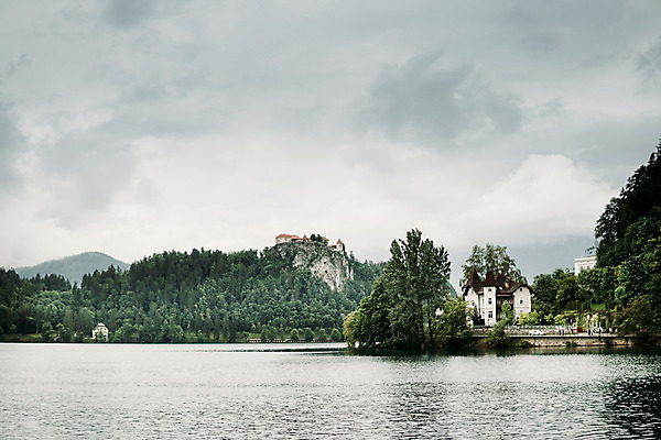 포토 JPG 주간 나무 해외풍경 자연 풍경 사람없음 야외 흐림 슬로베니아 블레드호수 국내포토 자연요소 식물 해외 유럽 호수 날씨 생태계 파일형식