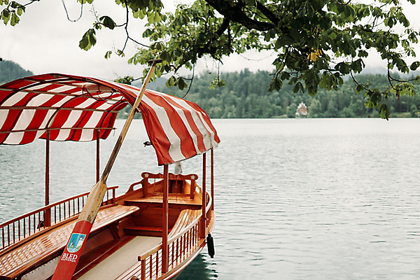 포토 JPG 주간 나무 해외풍경 자연 풍경 사람없음 야외 노 슬로베니아 선박 블레드호수 국내포토 자연요소 식물 해외 유럽 호수 수상교통 생태계 파일형식
