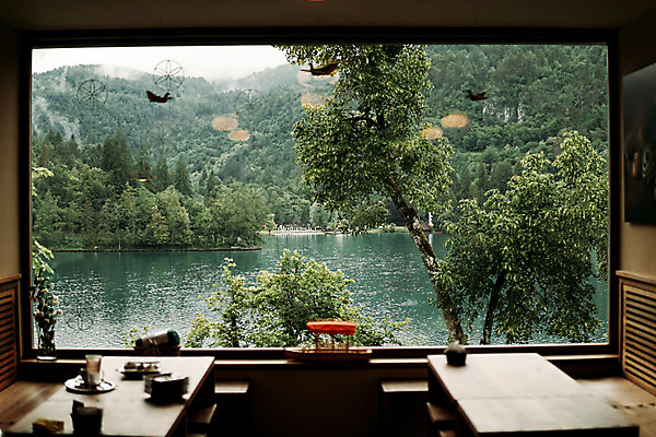 포토 JPG 주간 나무 해외풍경 창문 자연 실내 풍경 사람없음 슬로베니아 블레드호수 국내포토 자연요소 식물 해외 유럽 호수 내부 생태계 파일형식