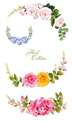 PSD 꽃 잎 꽃백그라운드 일러스트 봄꽃 수채화 사람없음 세트 장미 라벨 수국 국내일러스트 식물 백그라운드 프레임 봄 파일형식