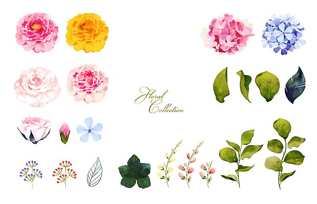 PSD 꽃 잎 꽃백그라운드 일러스트 봄꽃 수채화 사람없음 세트 장미 수국 국내일러스트 식물 백그라운드 봄 파일형식