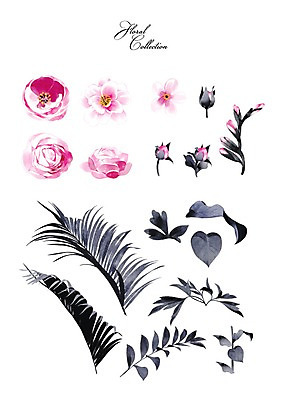 PSD 꽃 잎 꽃백그라운드 일러스트 사람없음 세트 장미 야자수잎 국내일러스트 식물 백그라운드 파일형식