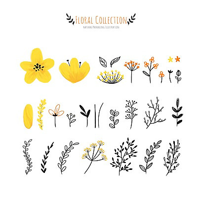 PSD 꽃 잎 꽃백그라운드 일러스트 사람없음 세트 개나리 국내일러스트 식물 백그라운드 파일형식