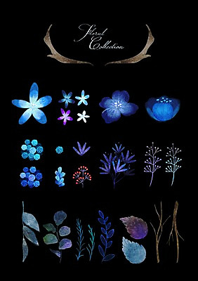 PSD 꽃 잎 꽃백그라운드 일러스트 수채화 사람없음 세트 나뭇가지 국내일러스트 나무 식물 백그라운드 파일형식