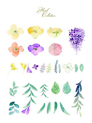 PSD 꽃 잎 꽃백그라운드 일러스트 봄꽃 수채화 사람없음 세트 국내일러스트 식물 백그라운드 봄 파일형식