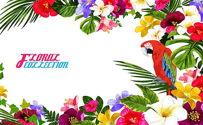PSD 꽃 잎 꽃백그라운드 일러스트 프레임 사람없음 여름 앵무새 플루메리아 꽃프레임 히비스커스 국내일러스트 식물 계절 백그라운드 조류 파일형식