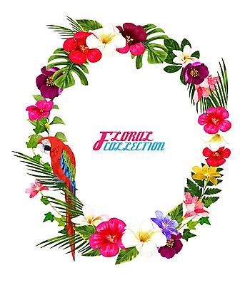 PSD 꽃 잎 꽃백그라운드 일러스트 프레임 사람없음 여름 앵무새 플루메리아 원형프레임 꽃프레임 히비스커스 국내일러스트 식물 계절 백그라운드 조류 원형 파일형식