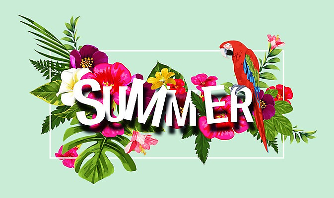 PSD 꽃 잎 꽃백그라운드 일러스트 타이포그라피 사람없음 여름 앵무새 플루메리아 히비스커스 국내일러스트 식물 문자 계절 백그라운드 조류 파일형식