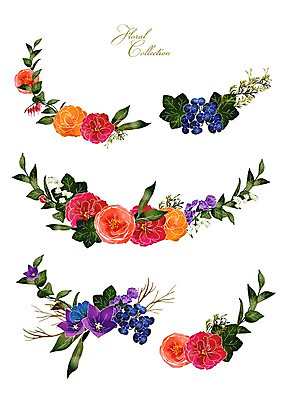 PSD 꽃 잎 꽃백그라운드 일러스트 수채화 사람없음 세트 장미 라벨 국내일러스트 식물 백그라운드 프레임 파일형식