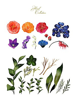 PSD 꽃 잎 꽃백그라운드 일러스트 수채화 사람없음 세트 장미 국내일러스트 식물 백그라운드 파일형식