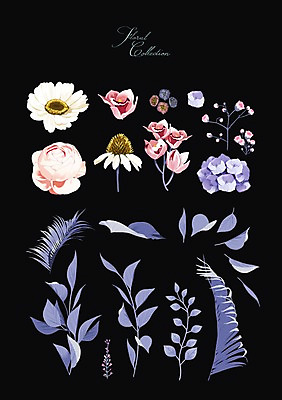 PSD 꽃 잎 꽃백그라운드 일러스트 사람없음 세트 장미 수국 국내일러스트 식물 백그라운드 파일형식