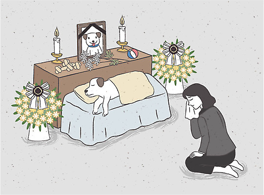여자 일러스트 초 공 국화 성인 반려동물 슬픔 강아지 손수건 위로 장례 개껌 반려 양초꽂이 영정사진 장례식 국내일러스트 AI파일 동물 꽃 감정 사람 개 꽂이 파일형식 벡터