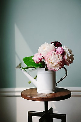 포토 JPG 꽃 탁자 스튜디오 실내 사람없음 장식 인테리어 꽃병 물뿌리개 오브젝트 스타일링 작약 국내포토 식물 디자인 가구 내부 파일형식