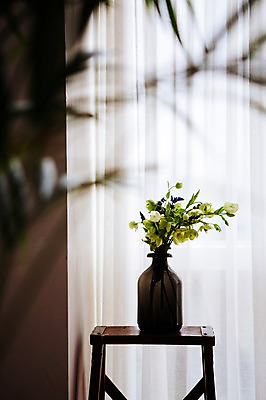 포토 JPG 꽃 탁자 스튜디오 실내 사람없음 장식 인테리어 꽃병 커튼 오브젝트 스타일링 헬레보루스 국내포토 식물 디자인 가구 내부 파일형식