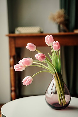 포토 JPG 꽃 스튜디오 실내 사람없음 장식 인테리어 꽃병 튤립 오브젝트 스타일링 국내포토 식물 디자인 내부 파일형식