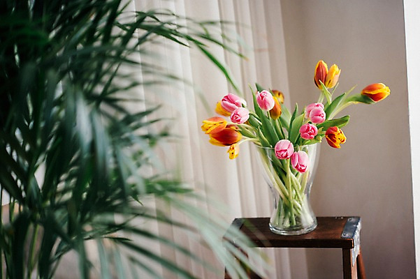 포토 JPG 꽃 스튜디오 나뭇잎 실내 사람없음 장식 인테리어 꽃병 튤립 오브젝트 스타일링 국내포토 식물 디자인 잎 내부 파일형식