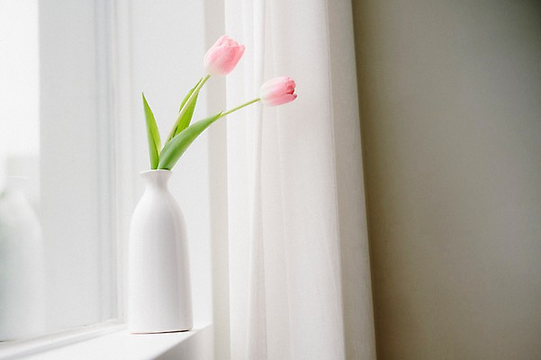 포토 JPG 꽃 스튜디오 실내 사람없음 장식 인테리어 꽃병 튤립 창가 오브젝트 스타일링 국내포토 식물 디자인 창문 내부 파일형식