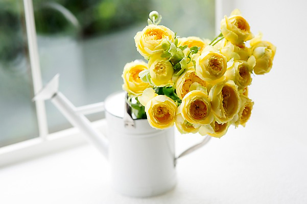 포토 JPG 꽃 스튜디오 실내 사람없음 아웃포커스 장식 인테리어 노란색 꽃병 물뿌리개 창가 오브젝트 라넌큘러스 스타일링 국내포토 식물 디자인 컬러 창문 촬영기법 내부 파일형식