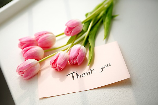 포토 JPG 꽃 스튜디오 실내 사람없음 장식 인테리어 튤립 감사카드 오브젝트 감사 스타일링 국내포토 식물 디자인 감정 카드_감사 내부 파일형식