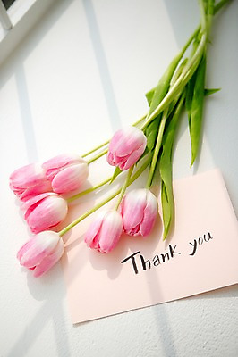 포토 JPG 꽃 스튜디오 실내 사람없음 장식 인테리어 튤립 감사카드 오브젝트 감사 스타일링 국내포토 식물 디자인 감정 카드_감사 내부 파일형식