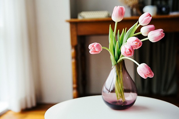 포토 JPG 꽃 스튜디오 실내 사람없음 장식 인테리어 꽃병 튤립 오브젝트 스타일링 국내포토 식물 디자인 내부 파일형식